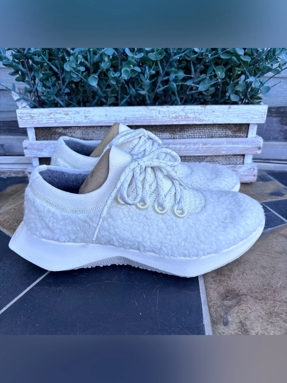 Allbirds Wool Dasher Fluff Sneakers